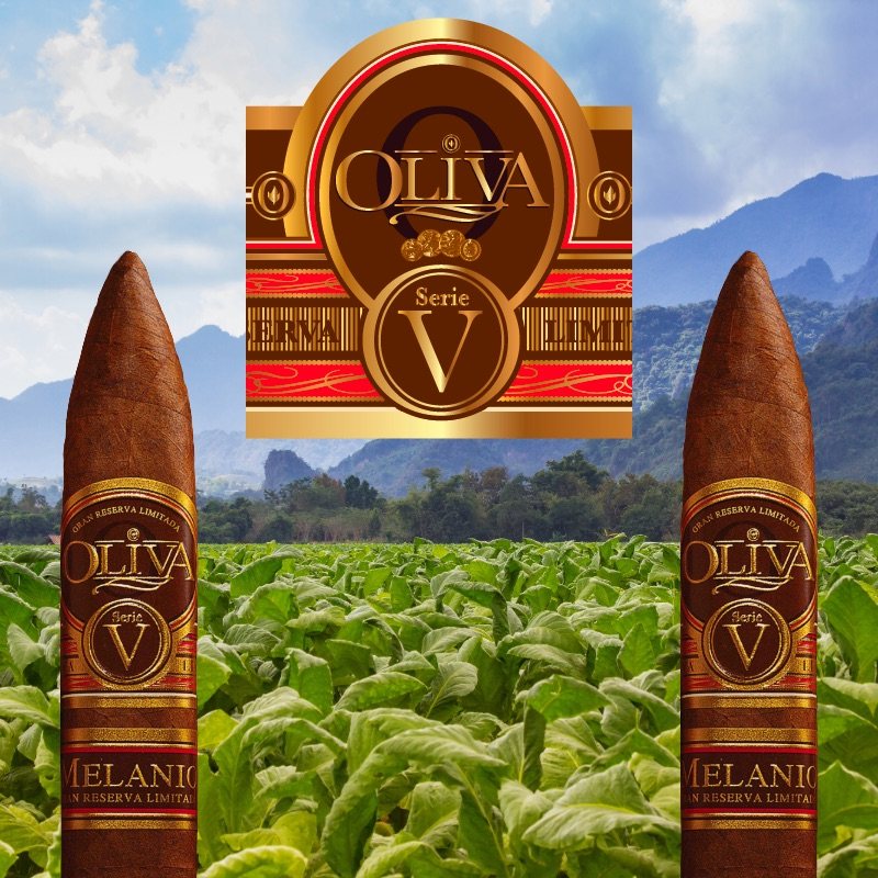 Oliva Serie V Melanio Cigars